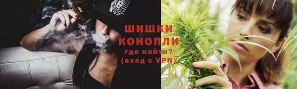 ГАЛЛЮЦИНОГЕННЫЕ ГРИБЫ Карпинск