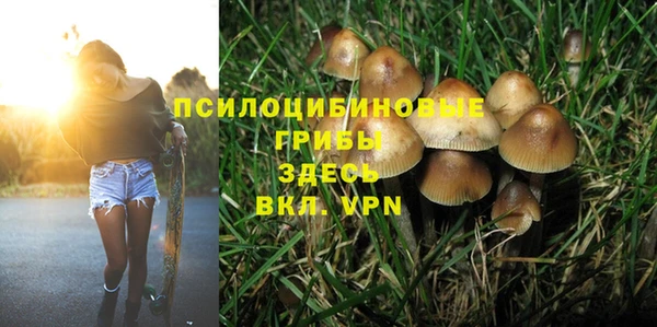 ГАЛЛЮЦИНОГЕННЫЕ ГРИБЫ Карпинск
