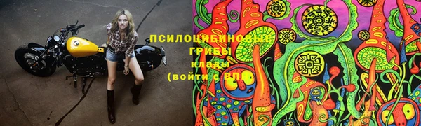 ГАЛЛЮЦИНОГЕННЫЕ ГРИБЫ Карпинск