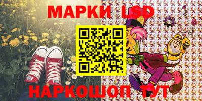 мдпв Донецк