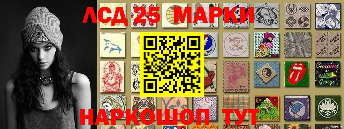 где можно купить наркотик  Наркотические марки 1,8мг  Вход с VPN  Наркотические марки 1,8мг  Калуга 