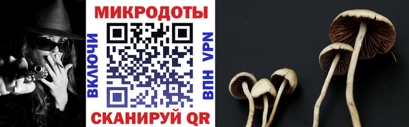 Галлюциногенные грибы MAGIC MUSHROOMS  Калуга 