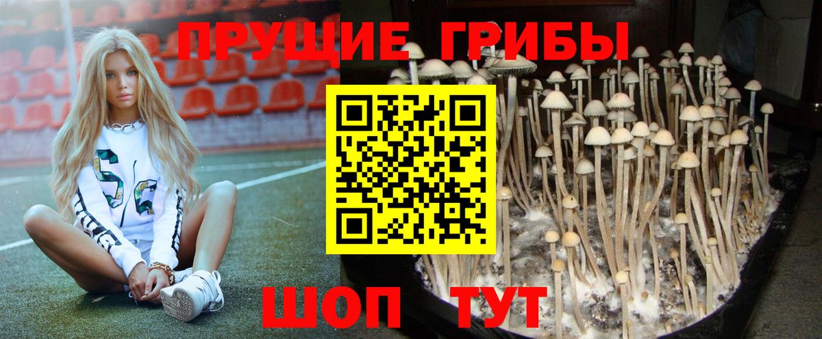 Псилоцибиновые грибы ЛСД Калуга