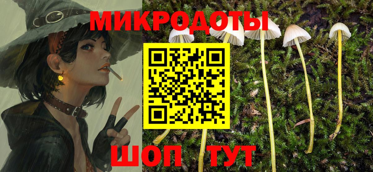 Псилоцибиновые грибы Psilocybine cubensis  Вход с VPN  Калуга 